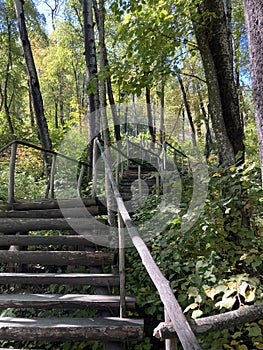 Close up of old wooden staircase in woodland. Stairs of wood on sunny day in park