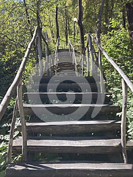 Close up of old wooden staircase in woodland. Stairs of wood on sunny day in park