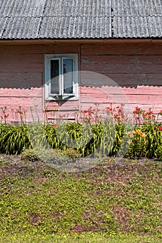 Close up on old, wooden, traditional farm house (wall, roof and window). Backyard garden with colorful flowers.