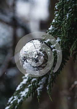 Close-up of one big silver Christmas ball on a snow-covered fir branch, selective focus, outdoor shoot
