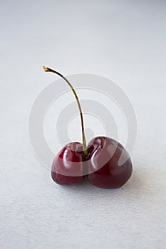 Close up of one whole fresh twin cherry fruit on a light gray background. Trendy ugly food or food waste concept.