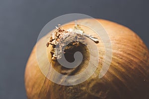Close up of an onion