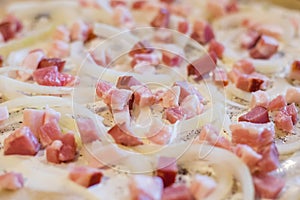 Close-up on onion and bacon on the top of flammkuchen