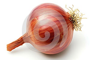 Close Up of an Onion on a White Background A detailed view of a single onion, showing its layers and texture, set against a plain