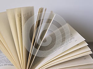 Close up of an open book with yellowish pages