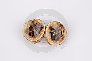 Close-up of a open walnut with rotten nut kernel. View of two walnuts isolated on white background. Rotten Nuts. Old