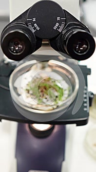 Close-up of optical microscope for laboratory use. Study of seeds