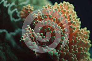 close-up of orange green hued coral created by generative AI