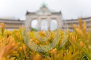 Close up of orange needles and Triumphal Arch in Cinquantenaire Parc in Brussels, Belgium