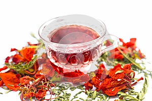 Close up of orange or red colored tea of Gular or Flame tree`s flowers isolated on white.