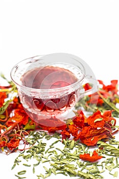 Close up of orange or red colored tea of Gular or Flame tree`s flowers isolated on white.