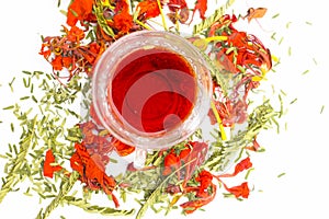 Close up of orange or red colored tea of Gular or Flame tree`s flowers isolated on white.