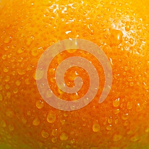 Close-up of an orange with water drops