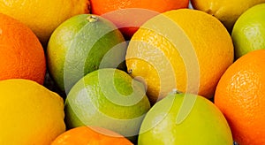 Close up of oranges, lemons and limes
