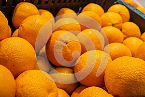 close-up oranges are sold in the shopping center in the department of vegetables and fruits in the winter