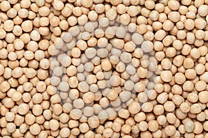Close up of Organic dry peas whole  Pisum sativum or matar dal Full-Frame Background.