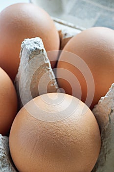 Close-up of organic eggs in an grey egg carton