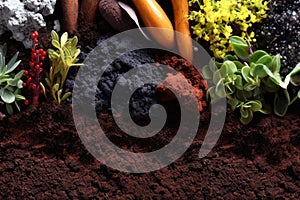 close-up of organic fertilizers and soil amendments