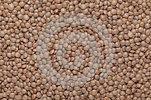 Close up of Organic masoor dal Lens culinaris or whole brown dal  Full-Frame Background.