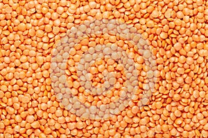Close up of Organic masoor dal Lens culinaris or whole pink dal Full-Frame Background.