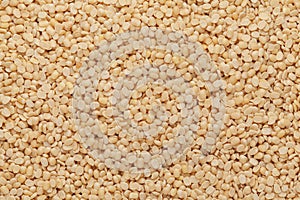 Close up of Organic split polished white urad dal Vigna mungo Full-Frame Background. photo