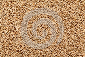 Close-up of Organic White Sesame seedsSesamum indicum or white Til with shell Full-Frame Background.