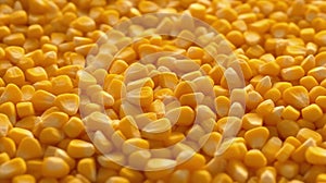Close-up of organic yellow corn seed or maize. Generative AI