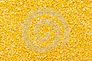 Close up of Organic yellow Gram Vigna radiata or split yellow moong dal Full Frame Background. photo