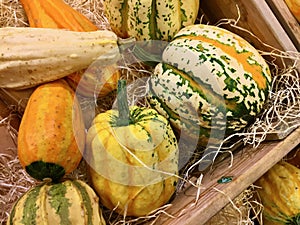 Close-up of ornamental gourds for sale