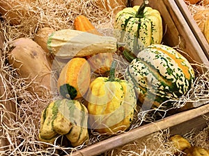 Close-up of ornamental gourds for sale