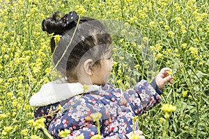 Close-up ortrait of a child inside Canola filed