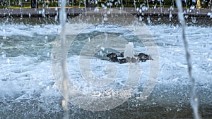 Close-up outdoor view of a public fountain with many small water jets. Public park background.