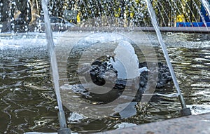 Close-up outdoor view of a public fountain with many small water jets. Public park background.
