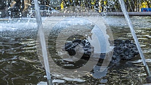 Close-up outdoor view of a public fountain with many small water jets. Public park background