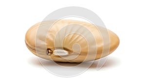 A shell on a white background (ai generated)