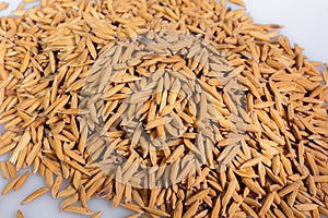 Close-up of paddy rice seeds in detail