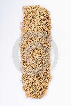 Close-up of paddy rice seeds in detail, paddy rice seeds on white background