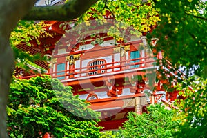 Close up of Pagoda in Japanese Tea Garden at Golden Gate Park, San Francisco, California
