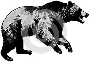 Close-up painting of a ferocious bear.