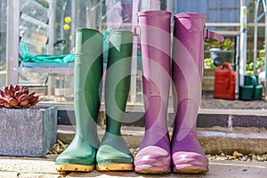 Close up of a pair of purple and green Wellington Boots