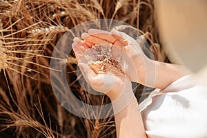 close up palm of little girl hand with wheat grains.