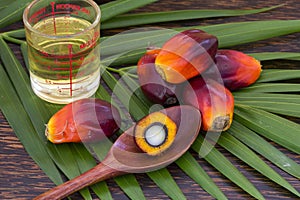 Close up of Palm Oil fruits with cooking oil and palm leaf on a wooden background