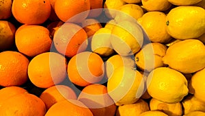 Close up pan of a pile of oranges and lemons on display in retail store