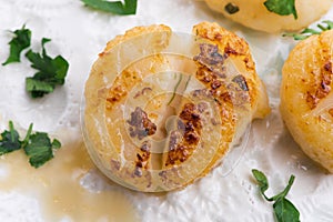 Close up of pan seared sea scallops