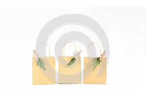 Close up paper brown bag with wooden clip with green leaf of pines and branche of small red fruit in white background isolated ,