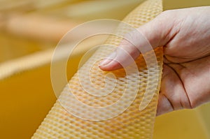 Close up of para rubber sheet