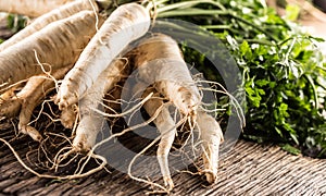 Close-up parsnip with parsley top on wooden board