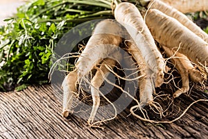 Close-up parsnip with parsley top on wooden board