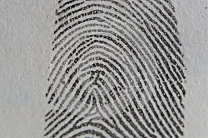 Close up partial inked fingerprint