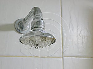 Close up of a partly clogged shower head in a bathroom, causing it to putting out so little water